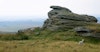 Woolgathering on Dartmoor Image