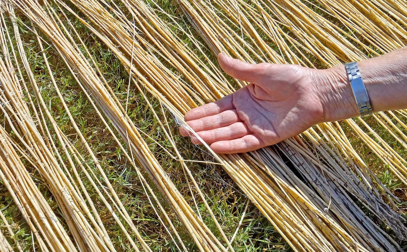Retting Try Flax Retting 2 Ways: Persuading Flax to Release its Fiber | Spin Off