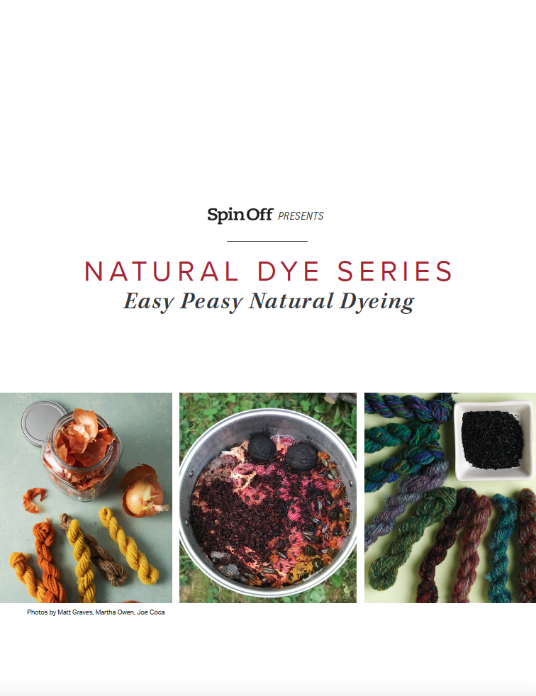 Natural Dye Series: Easy Peasy Natural Dyeing Image