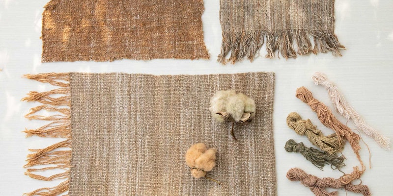 Woven swatch of Cindy’s first homegrown-cotton project, a few of her beautiful bolls from 2023, and colorful bundles of handspun loom waste. Photos by Matt Graves