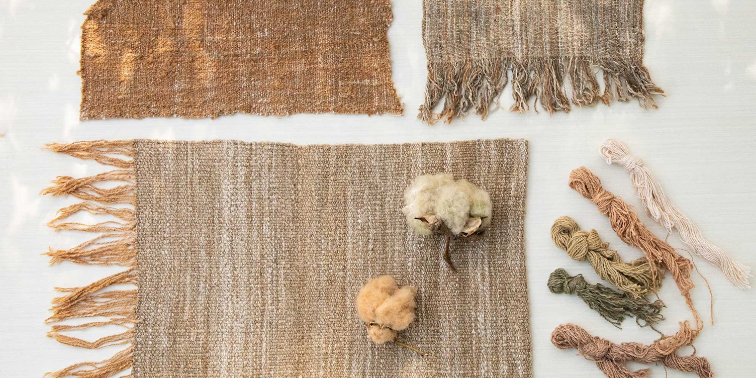 Woven swatch of Cindy’s first homegrown-cotton project, a few of her beautiful bolls from 2023, and colorful bundles of handspun loom waste. Photos by Matt Graves