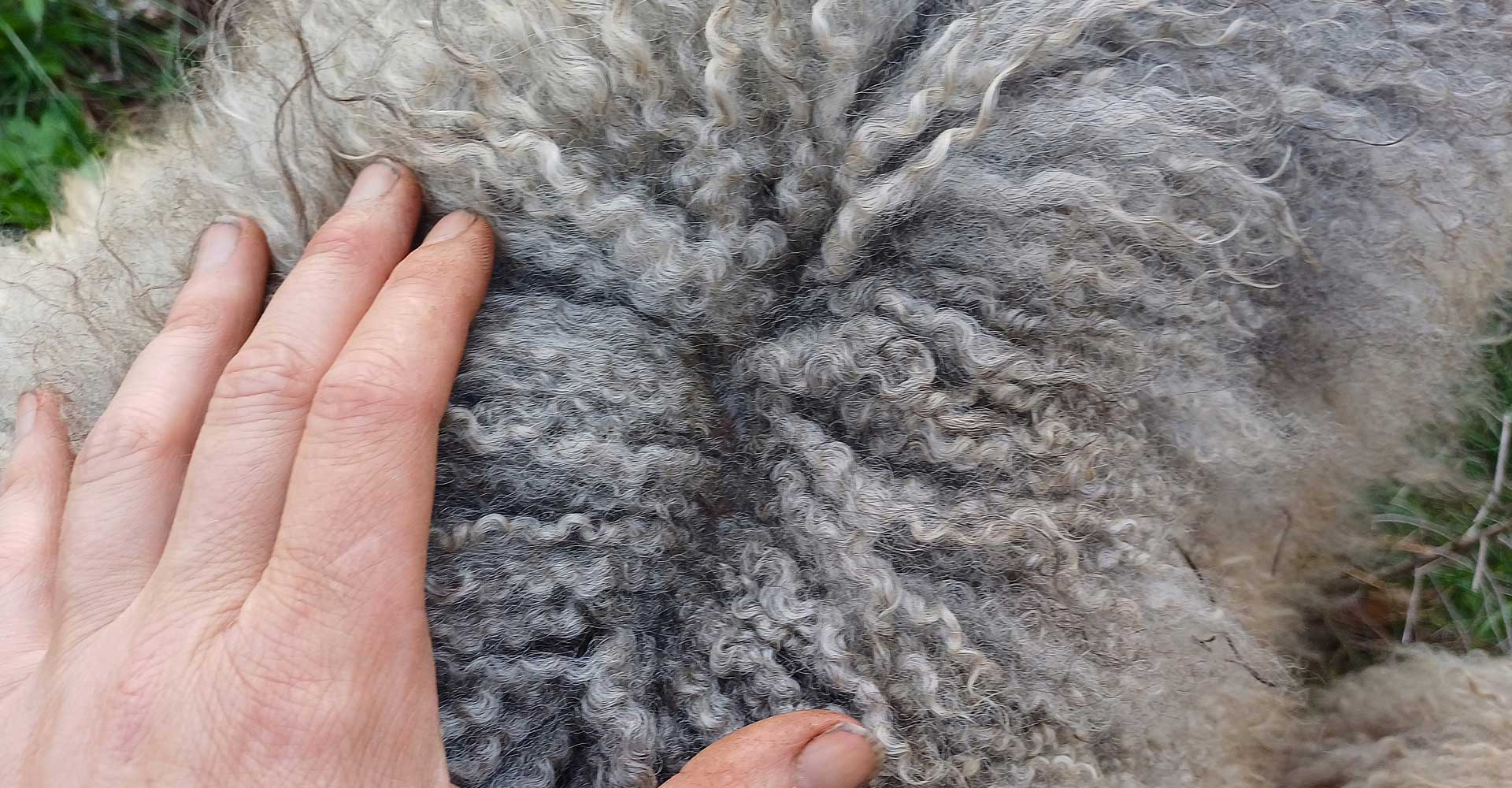 Pure Qiviut: 100% Pure Qiviut Yarn – Windy Valley Muskox