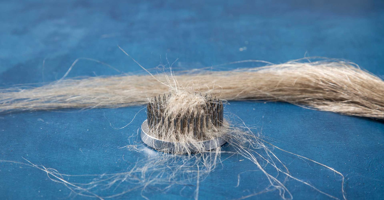 flax to spin