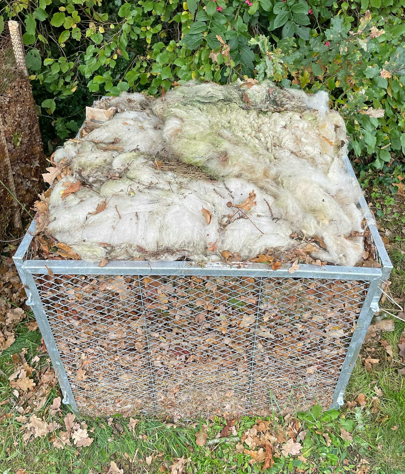 7 Ways to Use “Waste” Wool in Your Garden | Spin Off