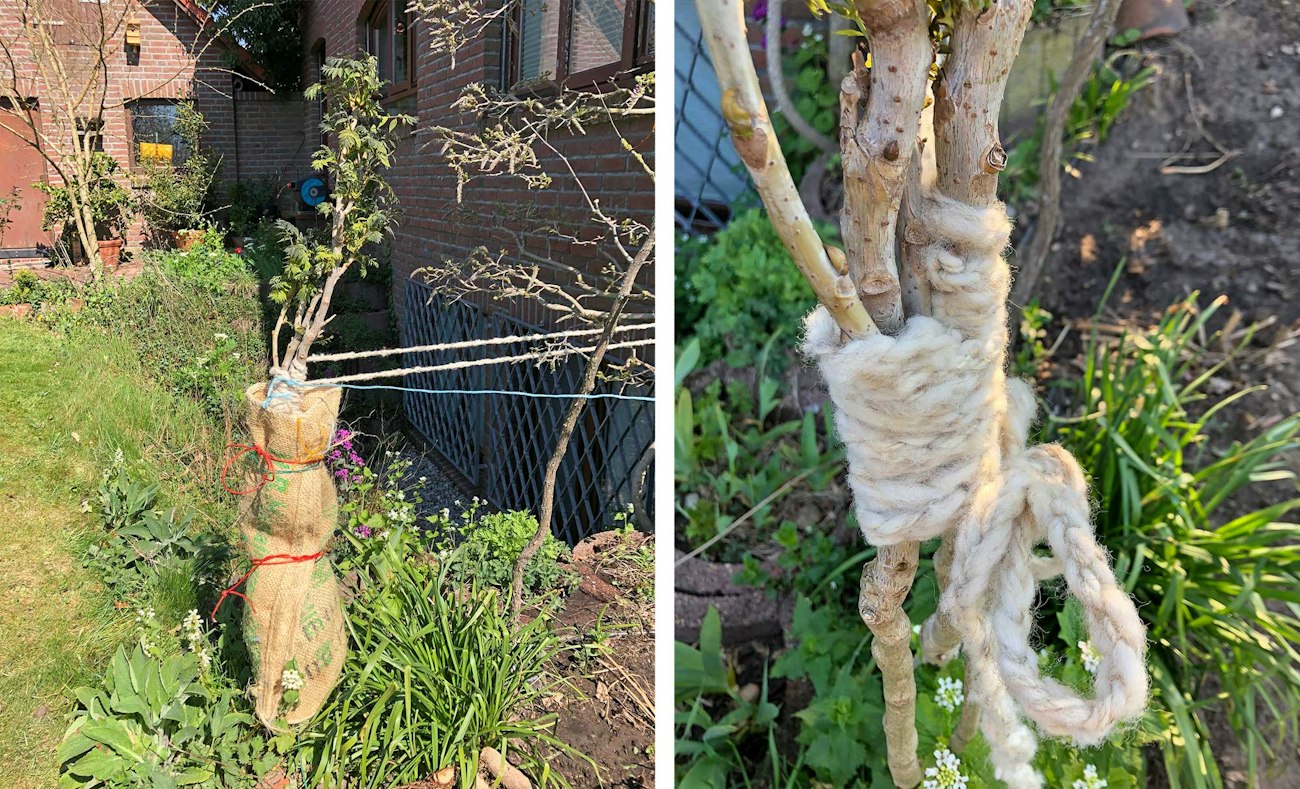 Wooly Twine in the Garden: You Can Spin it! | Spin Off