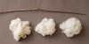 Willowing Wool: Building Community by Sharing the Work Image