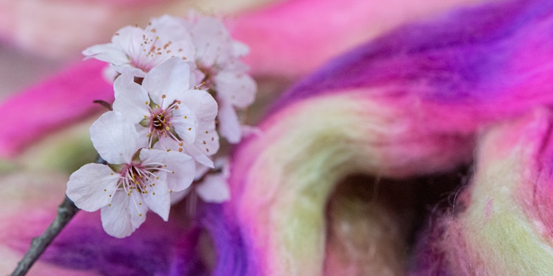 A close-up image of cherry blossoms on hand-dyed fiber.