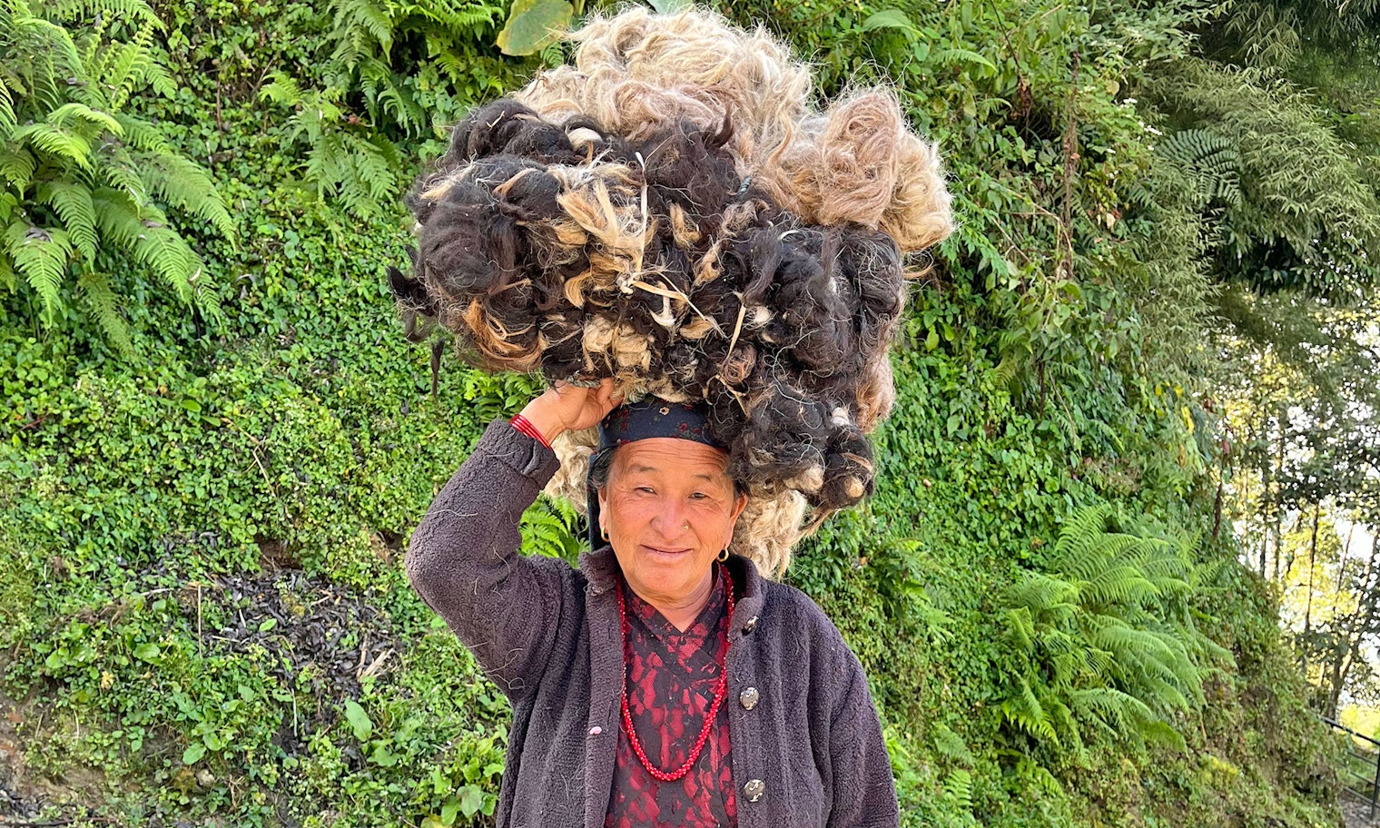 woman carrying sheep's fleece on top of her head