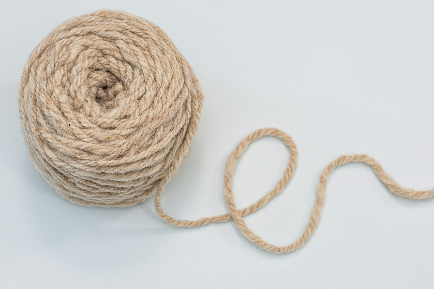 A Romeldale/Corriedale cross yielded a thick and bouncy yarn.