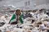 Cashmere, Glaciers, and a Fiber Contest with Global Impact Image