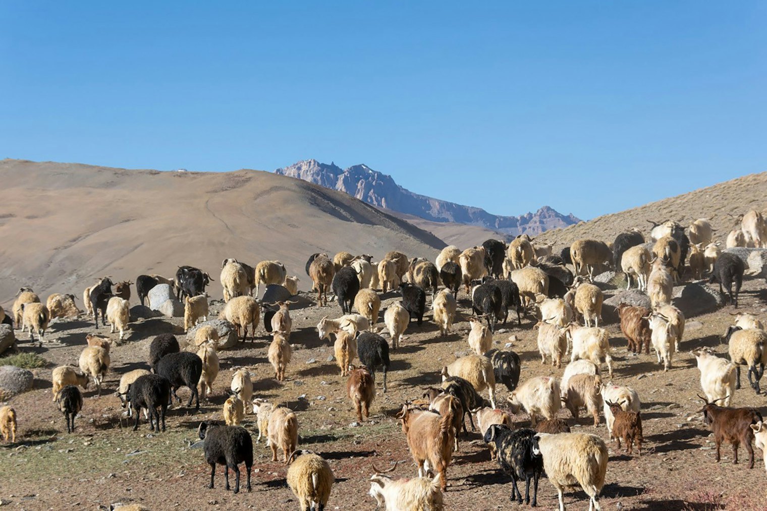 Living at 15,000 feet is challenging even under the warmth of the summer sun.