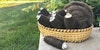 Be Kind, Rewind: Bobbin Winder to the Rescue Image