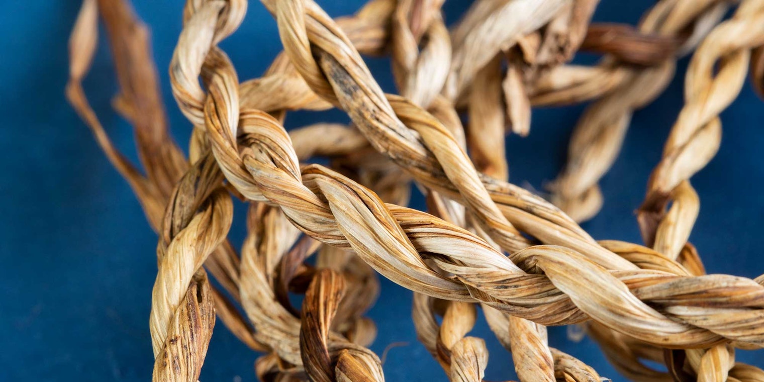 A closeup image of twisted iris cordage on a blue background