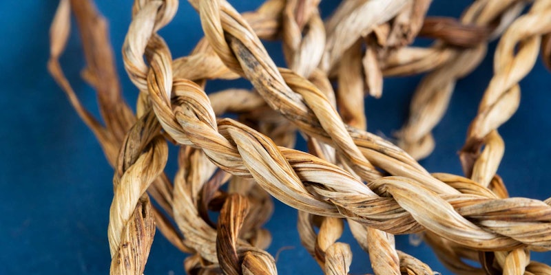 A closeup image of twisted iris cordage on a blue background