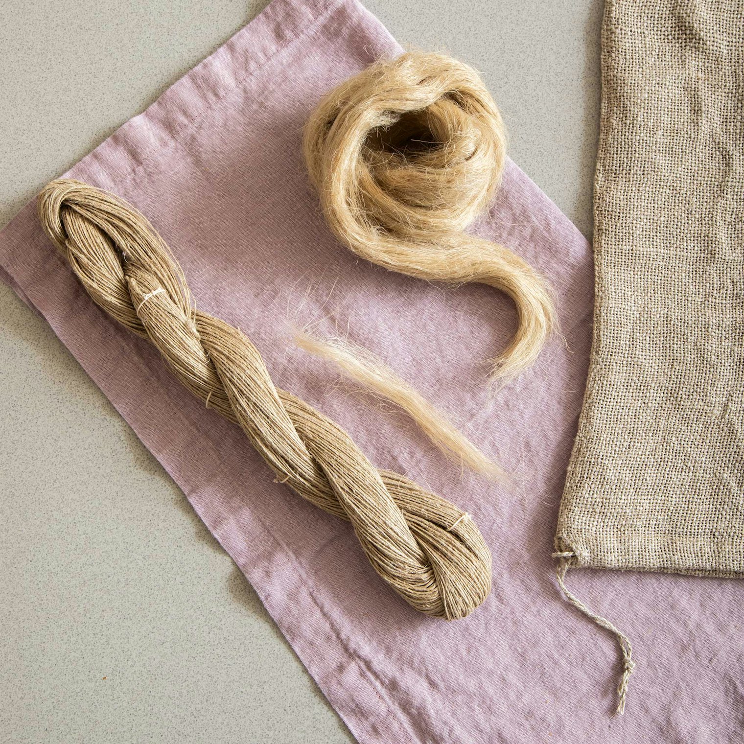 Flax roving has been cut into shorter lengths so it can be mechanically processed. The fiber shown here had a fiber length of 6–8".