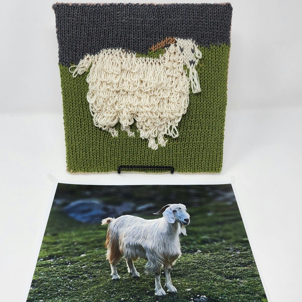 Salt of the Earth. Photo and submission from Gabi van Tassell. "After finding the “perfect” picture of a Pashmina goat I translated the scene into knitted art."
