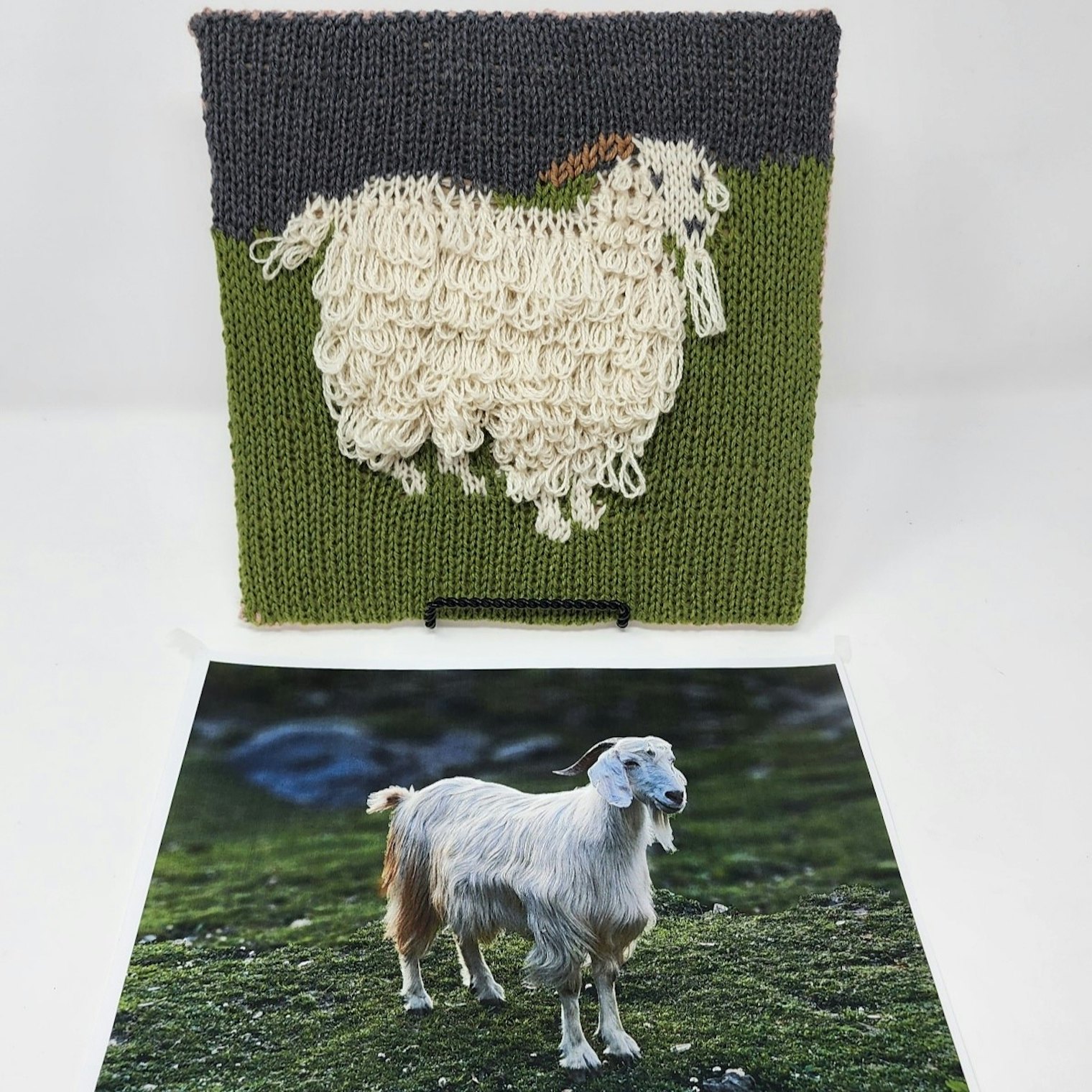 Salt of the Earth. Photo and submission from Gabi van Tassell. "After finding the “perfect” picture of a Pashmina goat I translated the scene into knitted art."