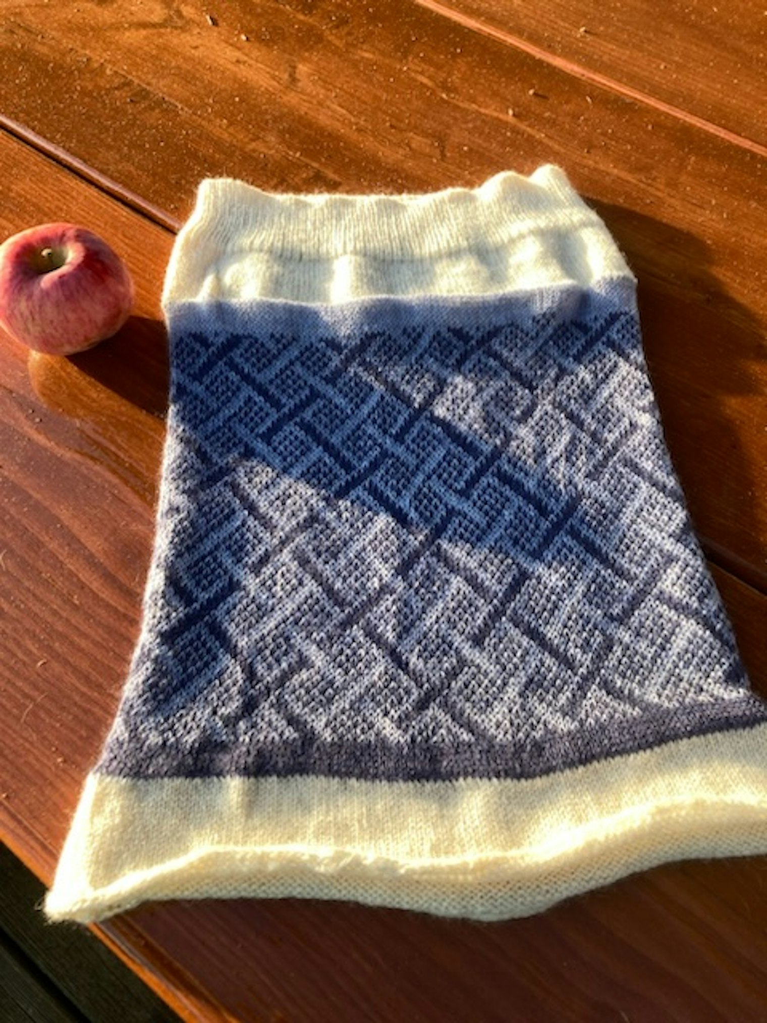 In support of herds and herders. Photo and submission from Linda Singley. "Being a shepherd myself and being familiar with the US cashmere saga, I wanted to support the group worldwide, grass or browse to garment."