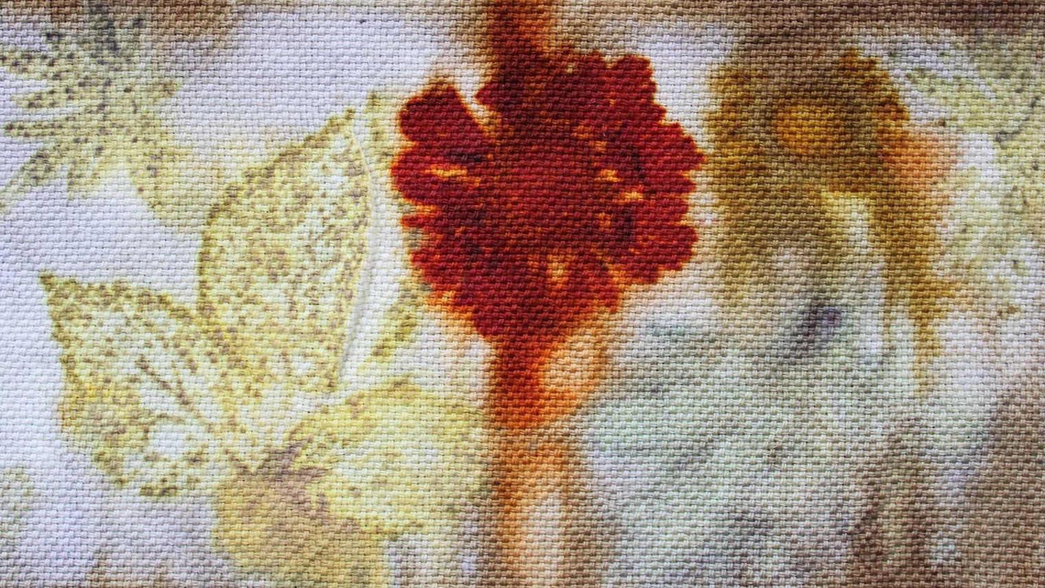 Ecoprint on fabric.