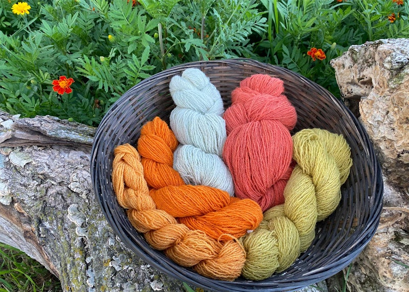 A basket of yarn dyed in yellows, oranges, and reds sits on a fallen log. There are marigolds in the background.