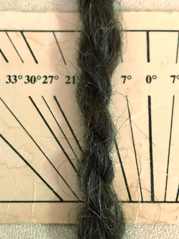 Step 3. Measure the twist angle. Photo by Sahara Briscoe