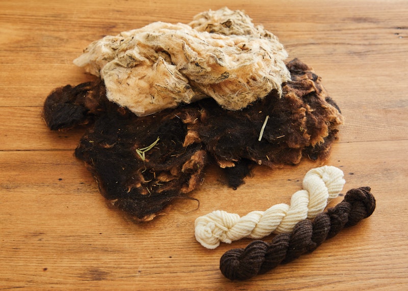 The Great Fleece Makeover