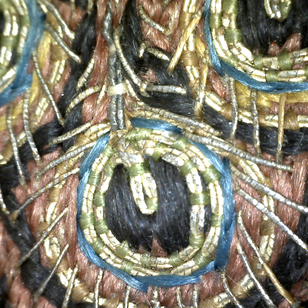 96. Detail of a peacock feather from Angel wing res