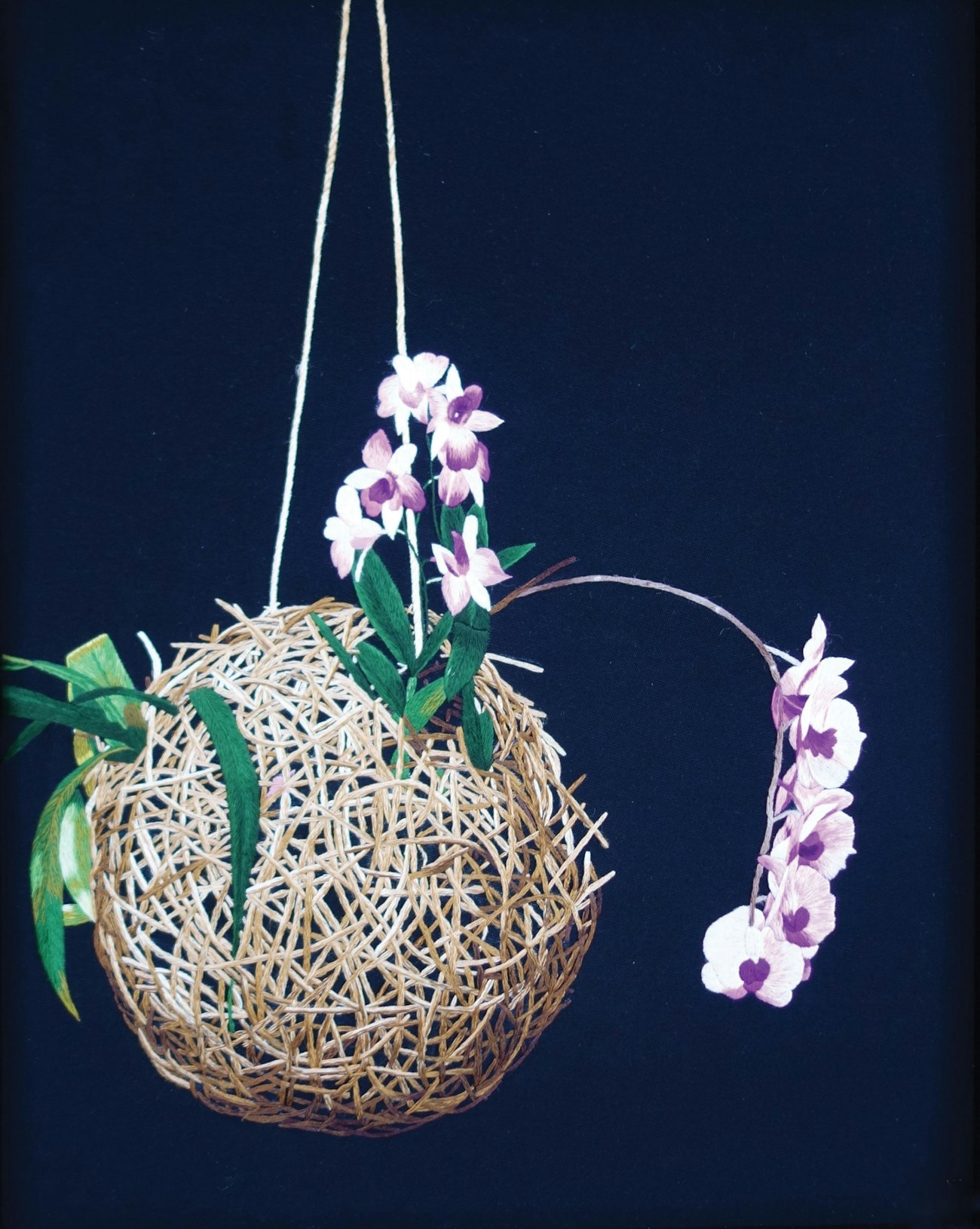 02-Orchid-with-Roots-2-res