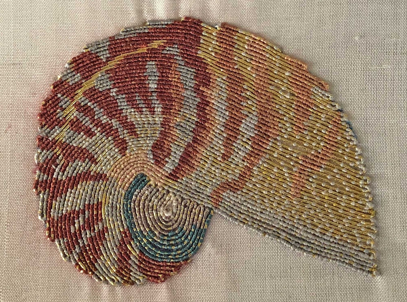 nautilus-shell