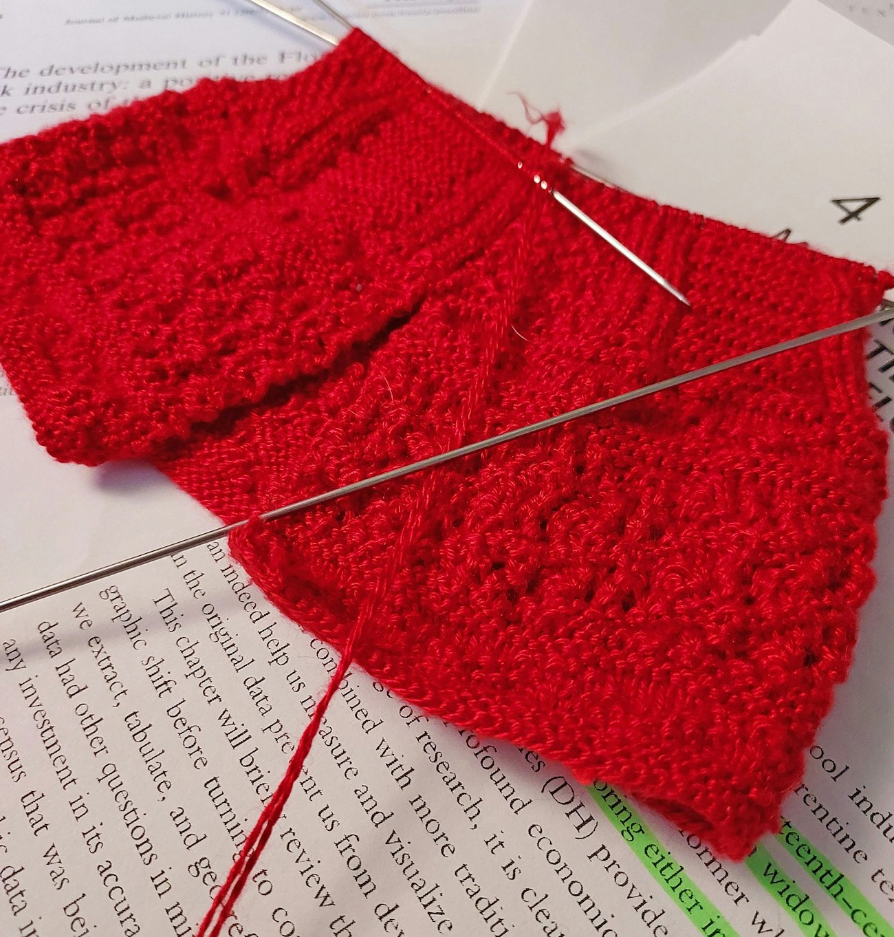 Eleonora stockings in progress