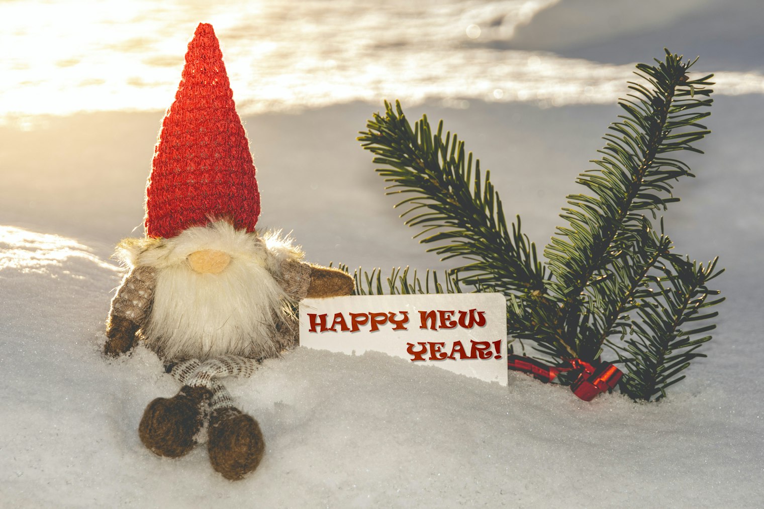 gnome new year