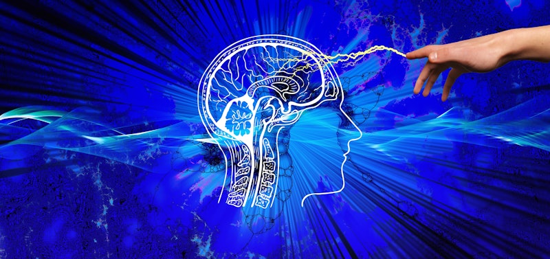 Hand brain connection