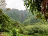 Hawaiian Quilts Image