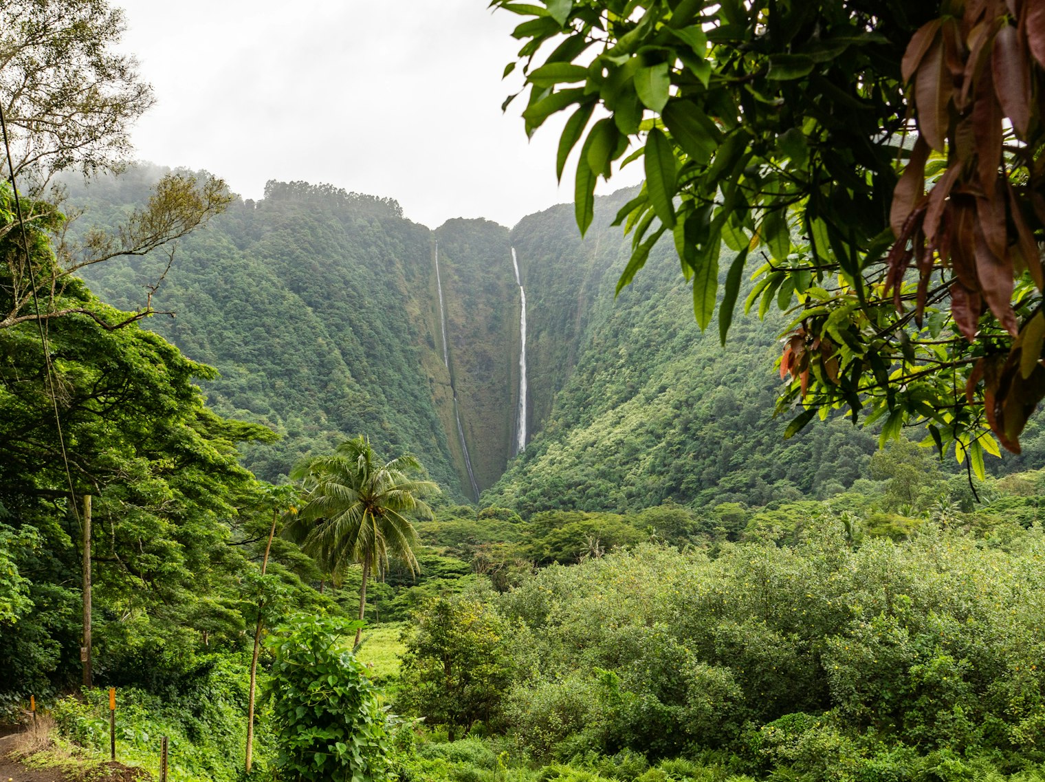 Hawaii