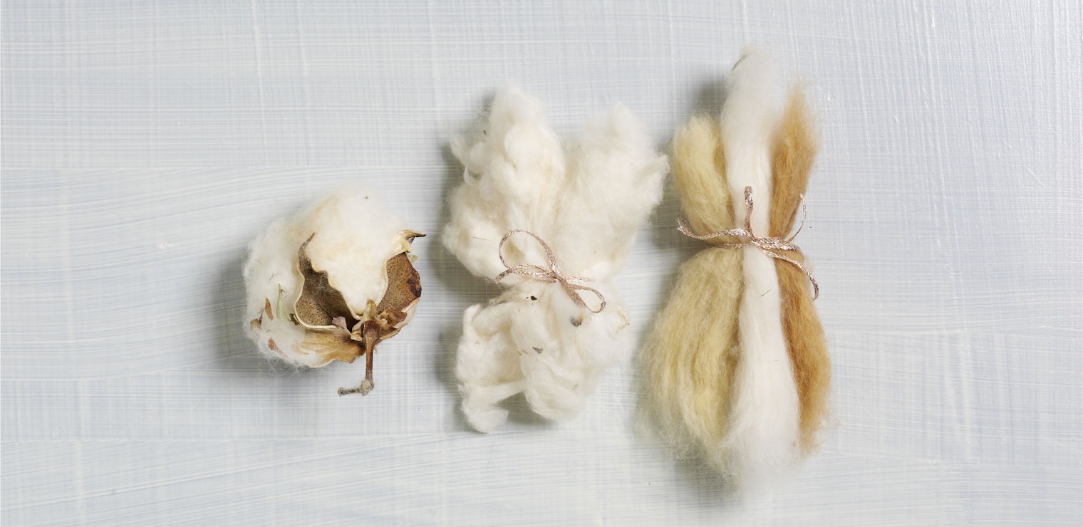 cotton fibers