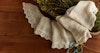 A Victorian Treasure: Weldon’s Practical Needlework Image