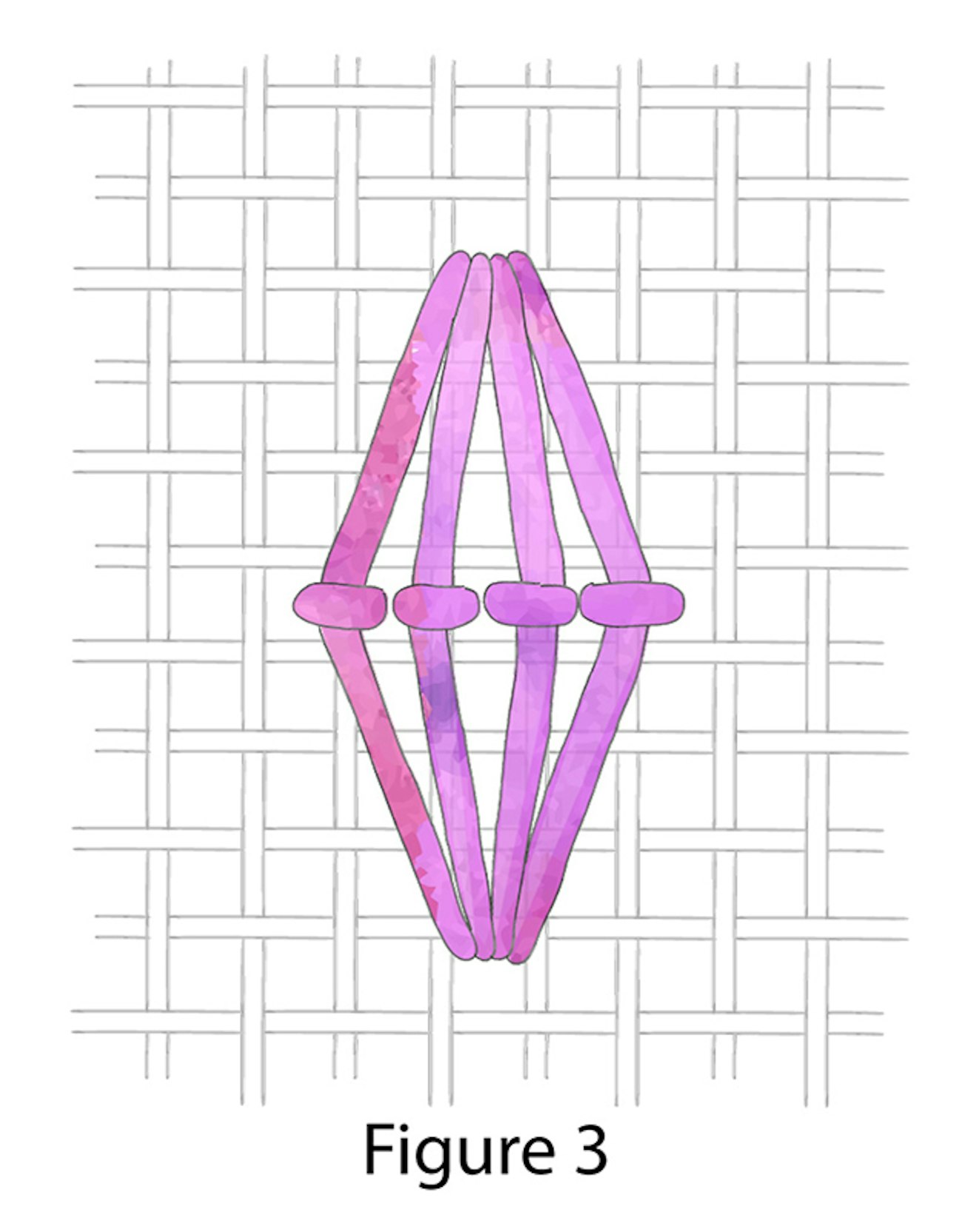 03-QueenStitch-3
