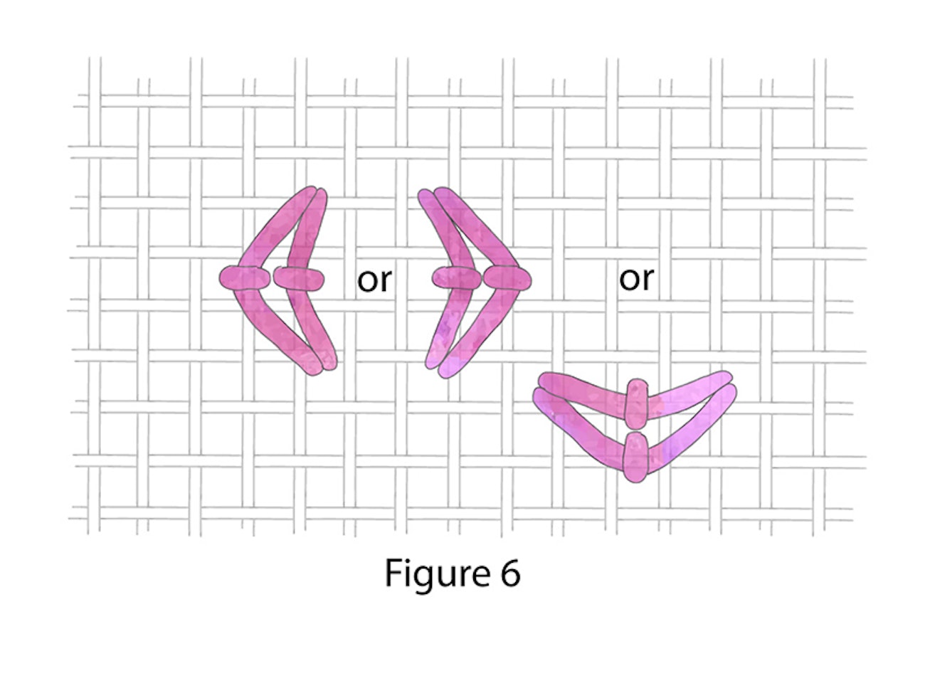 06-QueenStitch-6