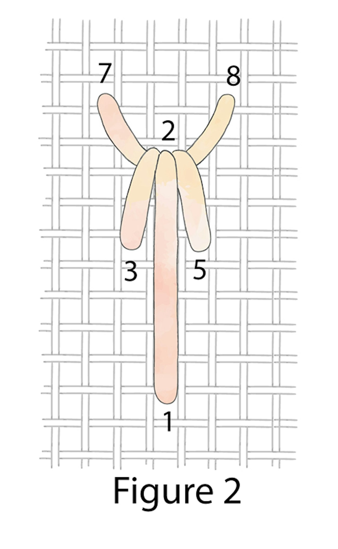 02-Crown-Stitch-figure-2