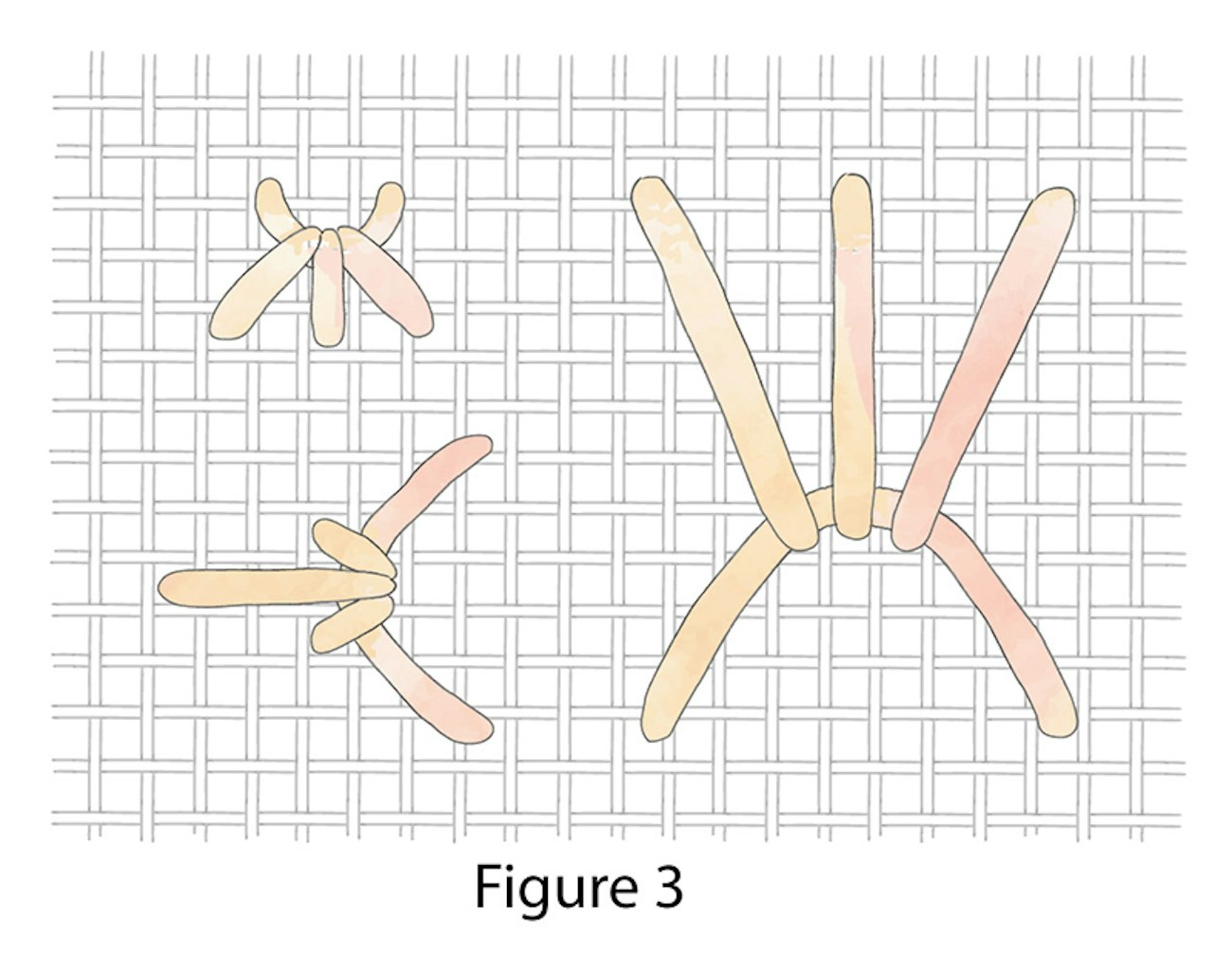 03-Crown-Stitch-figure-3