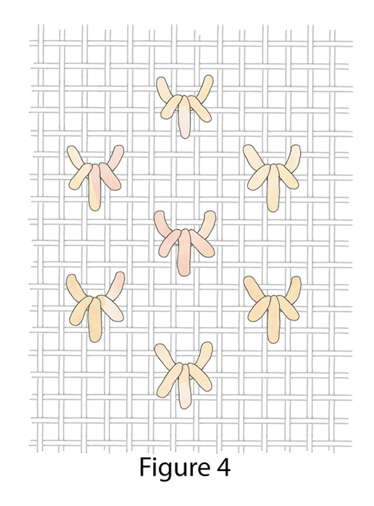 04-Crown-Stitch-figure-4