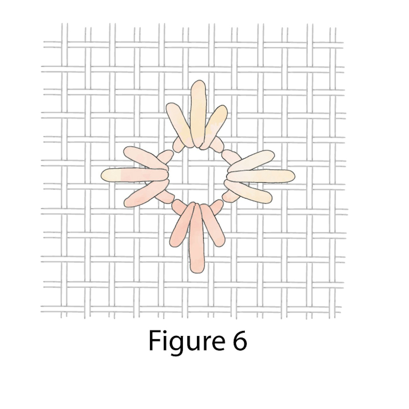 06-Crown-Stitch-figure-6