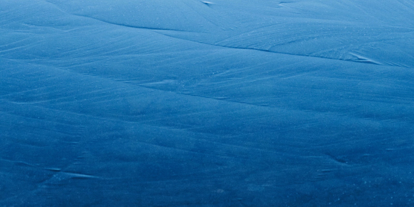 Woad and the Invention of Blue | PieceWork
