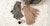 Gloves for Polar Explorers to Knit Image