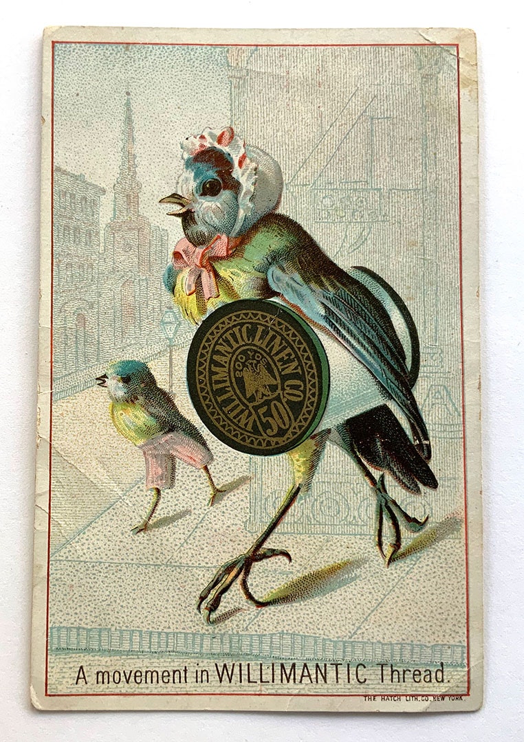 01-Bird-Card