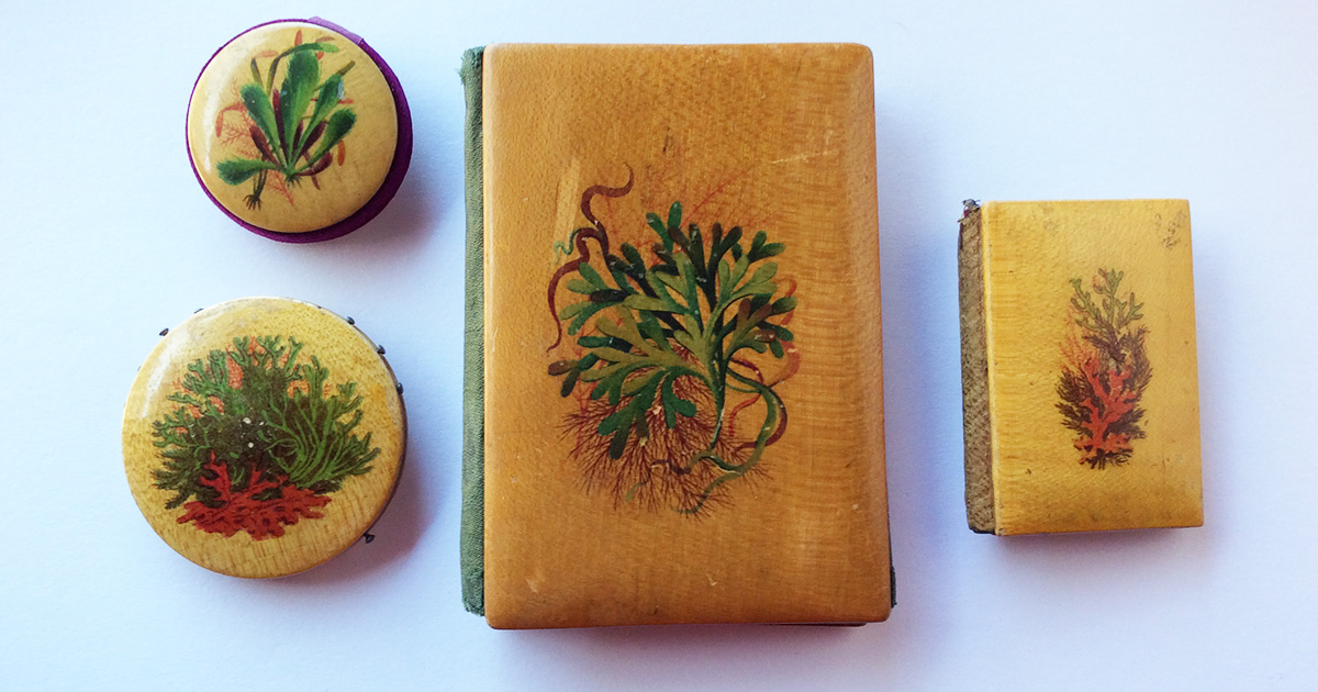 Mauchline Ware　モシュリンウェア Mauchline Ware Still a Mystery to Many