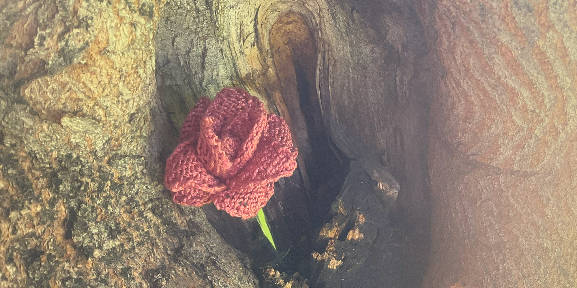 Grama’s Rose Garden Image