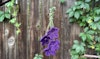 Crochet a Hanging Garden of Violets Image