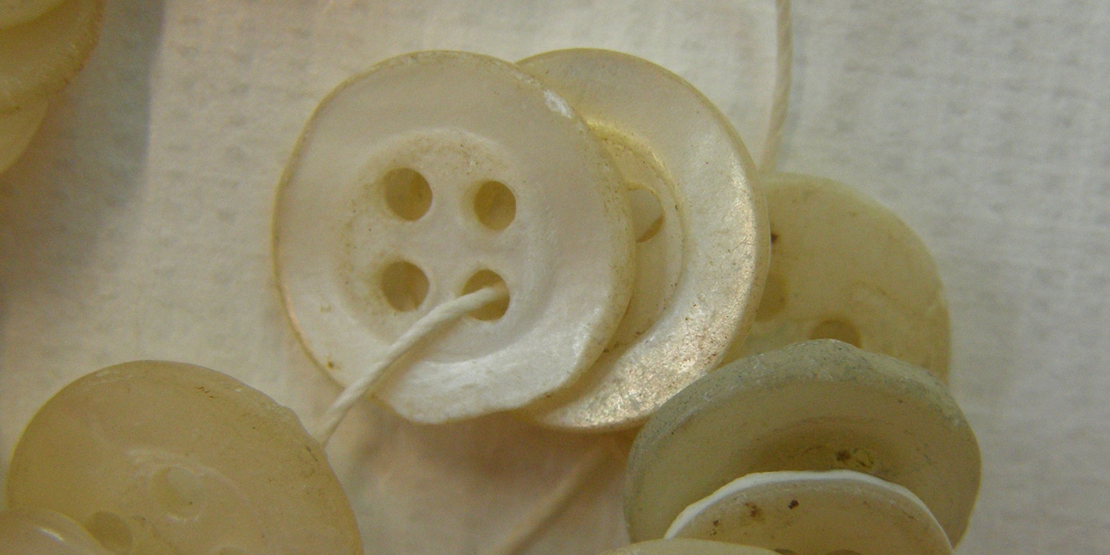 The PearlButton Fever Fishing Fortunes from the Mississippi River