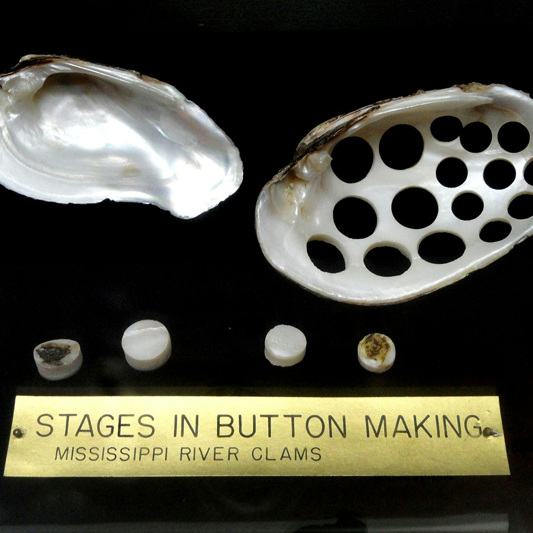 Button Blanks Shell The Pearl-Button Fever: Fishing Fortunes from the Mississippi River ...